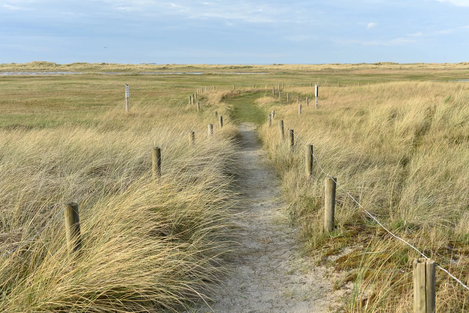 Nieuwbouwresidentie Zeeschorre [Zeedijk – Heist aan Zee].