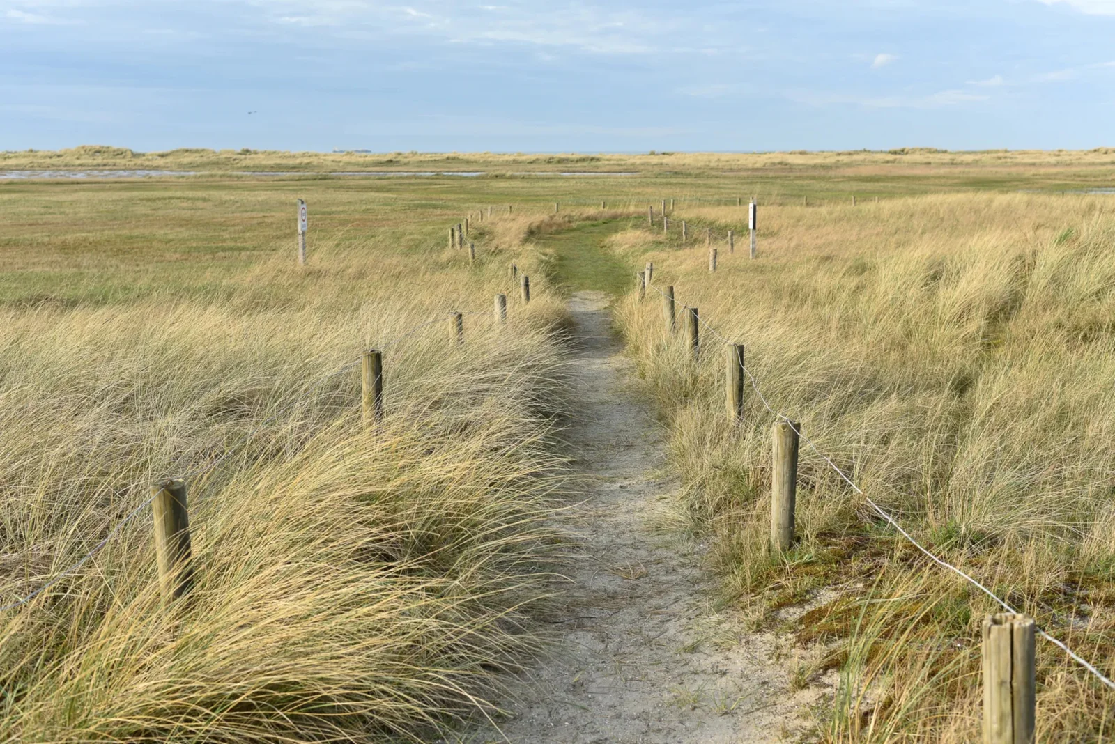 Nieuwbouwresidentie Zeeschorre [Zeedijk – Heist aan Zee].