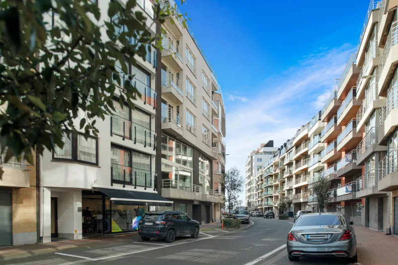 Ruim en lichtrijk gemeubeld appartement nabij winkels en strand nabij Rubensplein.